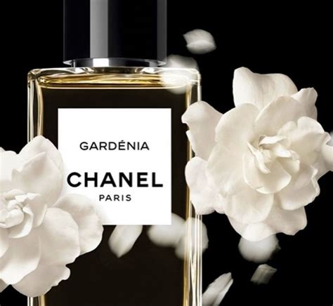 chanel perfume supplier|all chanel perfumes ever made.